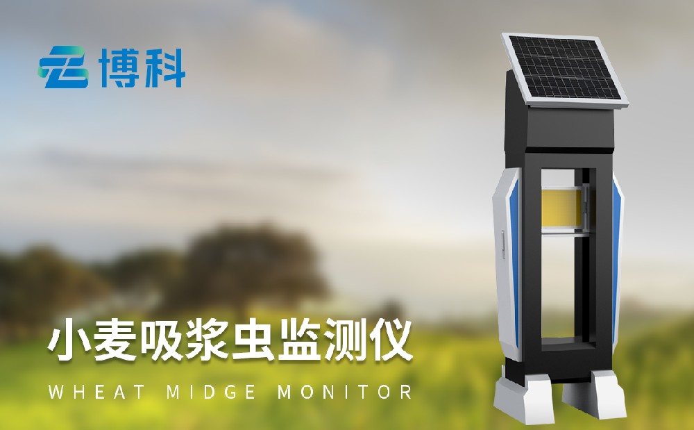 小麥吸漿蟲測(cè)報(bào)儀